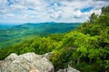 View of the Blue Ridge Mountains from Turk Mountain in Shenandoah National Park, Virginia. Royalty Free Stock Photo