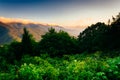 View of the Blue RIdge at sunrise, seen from Mt. Mitchell Overlook on the Blue Ridge Parkway in North Carolina. Royalty Free Stock Photo