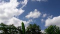View of blue sky with few clouds and fresh greenery Royalty Free Stock Photo