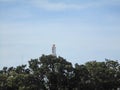 the view of the blue sky and the tower behind the trees Royalty Free Stock Photo