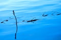 View of blue water and blue dragonfly Royalty Free Stock Photo