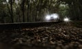 View of blurry car coming through the trees tunne. Royalty Free Stock Photo
