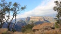 Plants. Rocky Mountain Summit And View Of Blyde River Canyon