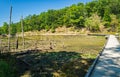 View of the Boardwalk over a Swampy Area at Pandapas Pond Royalty Free Stock Photo