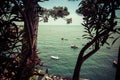 A view of boast floating on the blue water of the Mediterranean Sea through trees along the Amalfi Coast in Positano, Italy Royalty Free Stock Photo