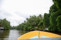 View from a boat on a river with a green tropical forest in the jungle Royalty Free Stock Photo