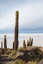 View of the Bolivian salt flats