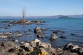 Wood, rocks and vegetation in bolsena lake, province of viterbo, italy