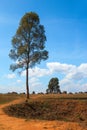 View on bomb crater near to archaeological site Plain of Jars in Phonsovan, Xieng Khouang Province, Laos