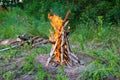 View of bonfire in green forest Royalty Free Stock Photo