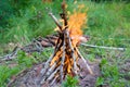 View of bonfire in green forest Royalty Free Stock Photo