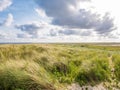 View from Boschplaat with salt marshes and dunes on Terschelling island to tidal flats at low tide of Waddensea, Netherlands Royalty Free Stock Photo