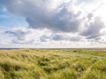 View from Boschplaat with salt marshes and dunes on Terschelling island to tidal flats at low tide of Waddensea, Netherlands Royalty Free Stock Photo