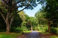 View of the botanical garden of Waimea Valley, Oahu, Hawaii