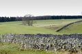 View at the bottom of Askham Fell