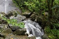 The beautiful waterfall at La Coca in the Puerto Rican rainforest Royalty Free Stock Photo