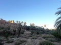 A view from a bottom of a talus of palm trees and an ancient tower Royalty Free Stock Photo