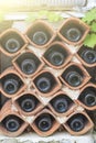 view of bottoms of bottles of wine lying in terracotta holders with vine