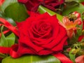 View bouquet of red roses