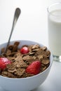 View of a bowl of cereals and glass of milk Royalty Free Stock Photo