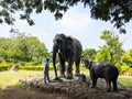 View of boy with Elephants family sculptures isolated in garden