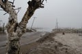 View of a boy watching the flood in Epecuen, Buenos Aires, Argentina Royalty Free Stock Photo