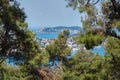 View through the branches of coniferous trees to the islands in the sea. Travel to Adalar