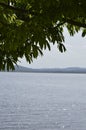 Details of branches of a tree in tropical climate, Caroni river and mountains on background of image. Royalty Free Stock Photo