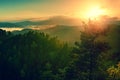 View through branches to deep misty valley within daybreak. Autumn foggy and misty morning on hilly view point