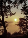 View through branches to deep misty valley within daybreak. Foggy and misty morning on the sandstone view point in national park Royalty Free Stock Photo