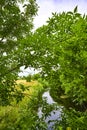 View through branches to a little creek