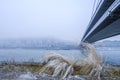 View from Bratislava Promenade near bridge Slovak National Uprising, Slovakia