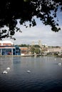 A view of Brayford Pool with the Odeon cinema and the Cathedral