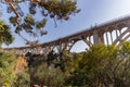 View of a bridge and autumn trees in Matanzas, Cuba Royalty Free Stock Photo