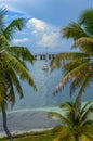 View of a bridge and bote between palm trees Royalty Free Stock Photo
