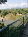 View from the bridge over the pond. The tropics. Royalty Free Stock Photo