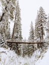 view of bridge in snowed forest