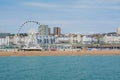 View of Brighton Seafront Royalty Free Stock Photo