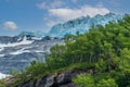 View on Briksdalsbreen Glacier from below with green trees in front