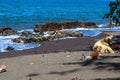 view of brown doves enjoying walking on the sand of Banyuwangi's Cacalan beach Royalty Free Stock Photo