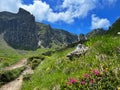 the view of Bucegi mountains during summer Royalty Free Stock Photo