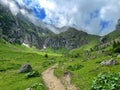 the view of Bucegi mountains during summer Royalty Free Stock Photo