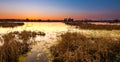 View of Bucharest from Vacaresti delta