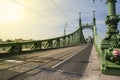 View of Budapest Liberty Bridge Royalty Free Stock Photo