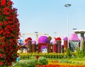 DUBAI, UNITED ARAB EMIRATES - DECEMBER 13, 2018: View of the building of flowers in Dubai Miracle Garden