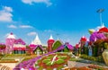 DUBAI, UNITED ARAB EMIRATES - DECEMBER 13, 2018: View of the building of flowers in Dubai Miracle Garden
