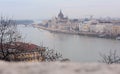 The view of the building of the Hungarian Parliament and the Danube in Budapest