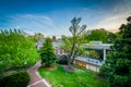 View of buildings and trees at Johns Hopkins University, in Baltimore, Maryland.