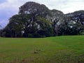 A view from Bukit Melawati
