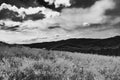 View from Bukowe Berdo in the Bieszczady Mountains in Poland in black and white Royalty Free Stock Photo